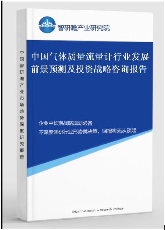 中国气体质量流量计行业发展前景预测及投资战略咨询报告