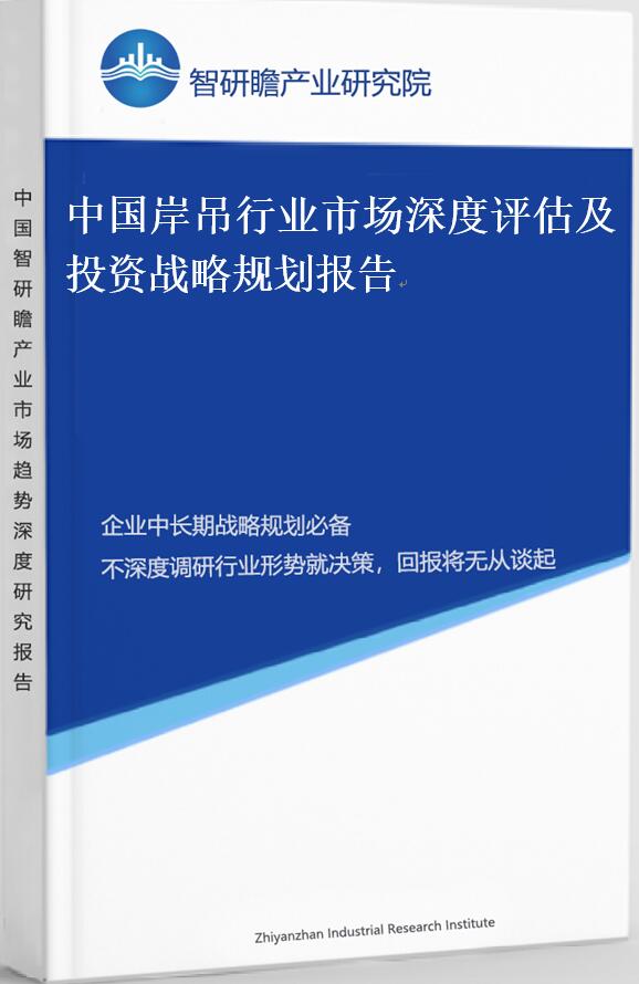 中国岸吊行业市场深度评估及投资战略规划报告