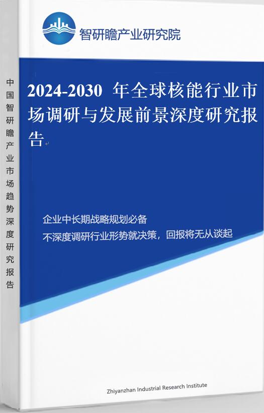 2024-2030年全球核能行业市场调研与发展前景深度研究报告