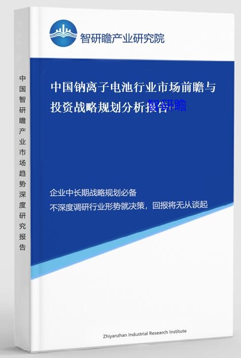 中国钠离子电池行业市场前瞻与投资战略规划分析报告