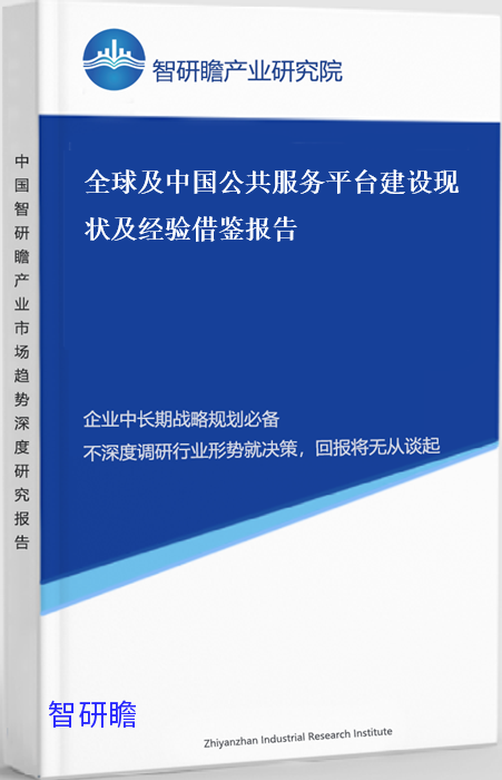 全球及中国公共服务平台建设现状及经验借鉴报告
