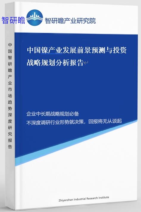 中国镍产业发展前景预测与投资战略规划分析报告