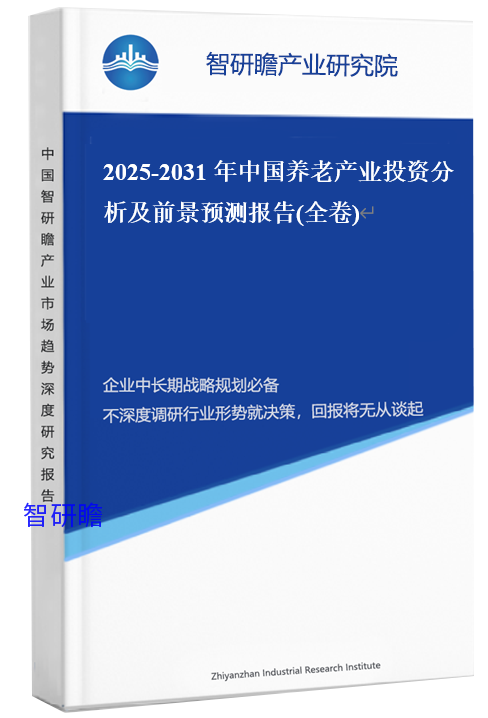 2025-2031年中国养老产业投资分析及前景预测报告(全卷)