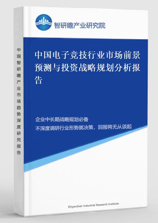 中国电子竞技行业市场前景预测与投资战略规划分析报告
